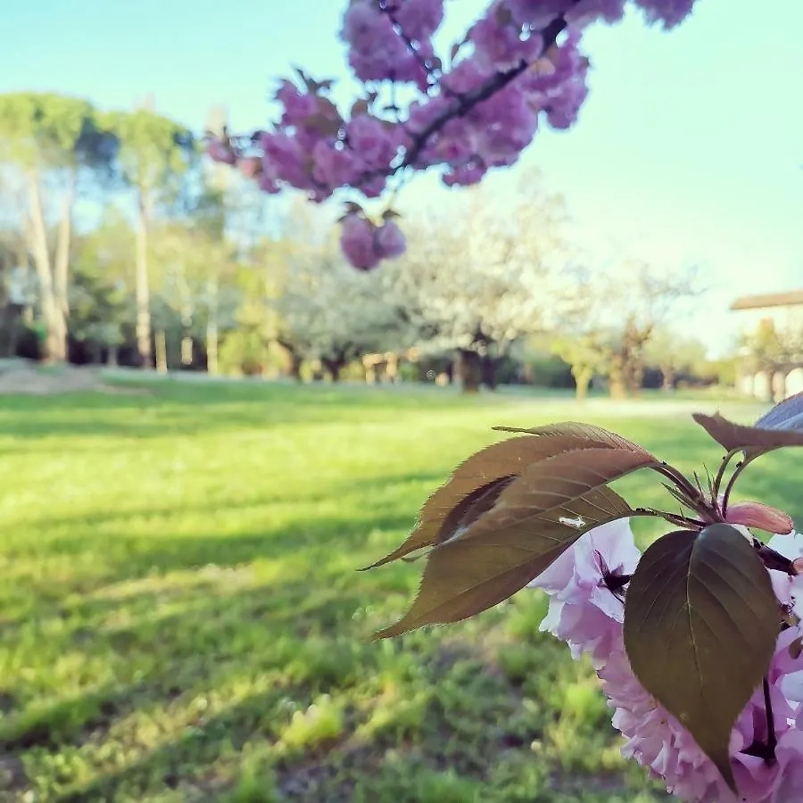 Guest house Oasi Borghetto Verde Castellaro